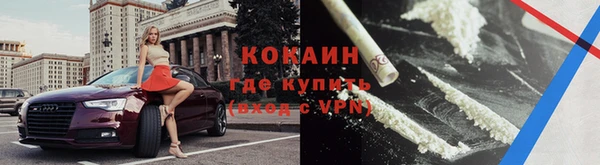 тгк Алзамай