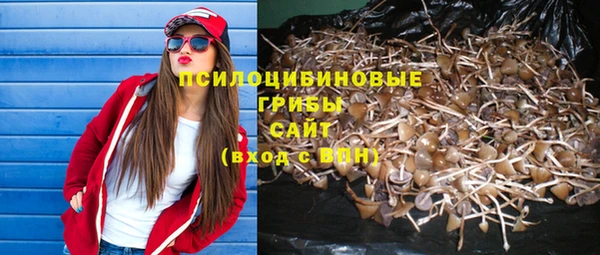 тгк Алзамай