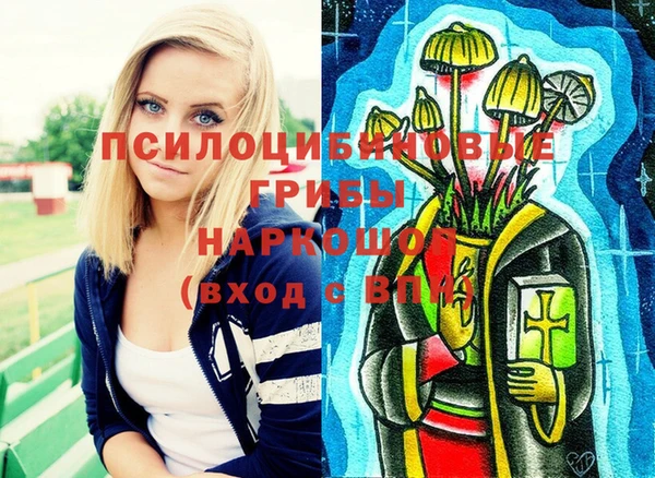 тгк Алзамай
