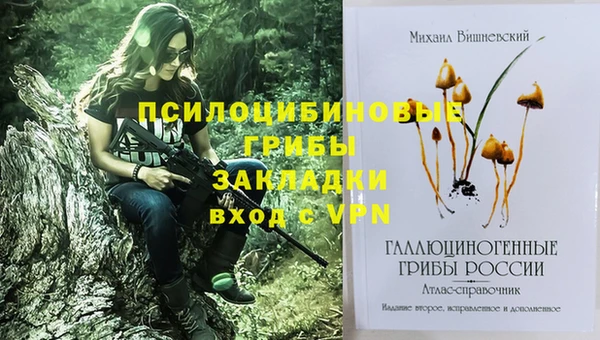 тгк Алзамай