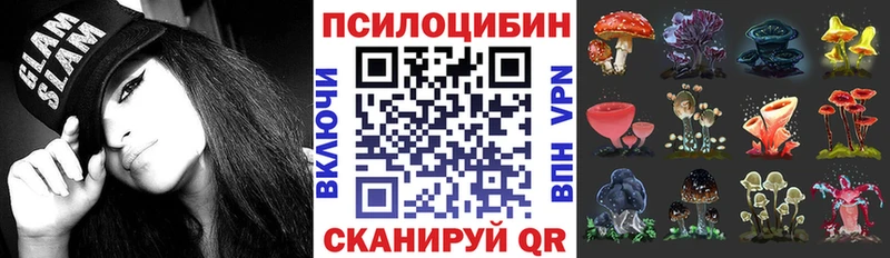 Псилоцибиновые грибы Cubensis  Бологое 